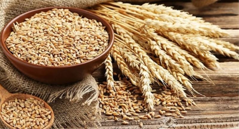 Buğday Fiyatları Son Yılların Zirvesine Çıktı