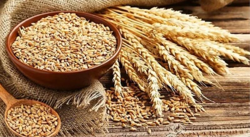 Buğday Fiyatları Tarihi Zirveyi Gördü