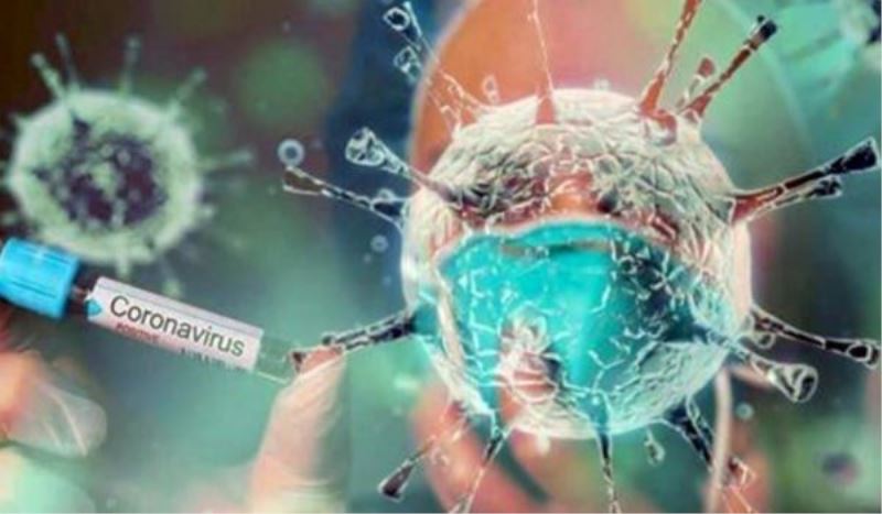 DSÖ’den Flaş Açıklama: “Virüsün Kaynağı Büyük Olasılıkla Başka Hayvanlar”