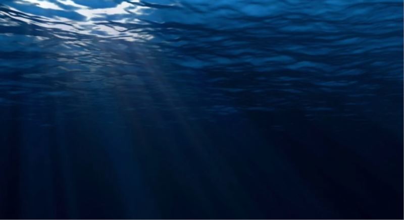 Dünyanın en derininde yüzen balık keşfedildi