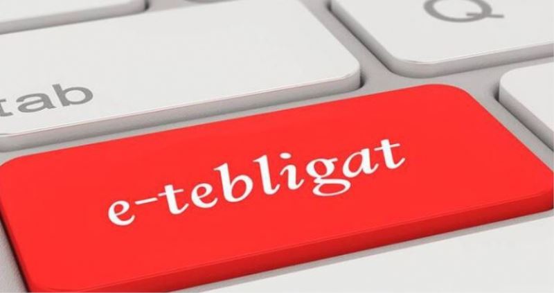 E-Tebligat ile Doğa Korundu 38 Bin Ağaç Doğada Kaldı