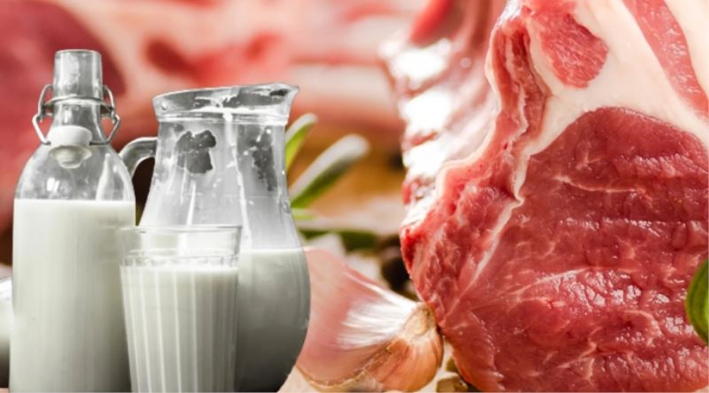 Et ve Süt Üretiminde Fiyat İstikrarı Sağlanacak