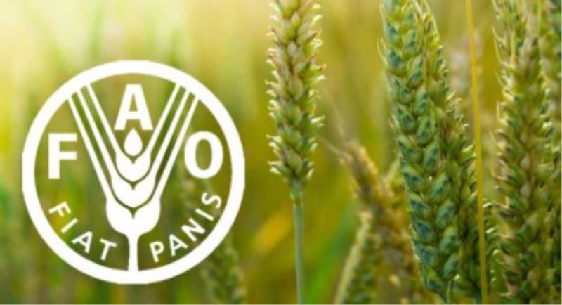 FAO’dan Kritik Rapor! Gıda Fiyatları Yükseldi
