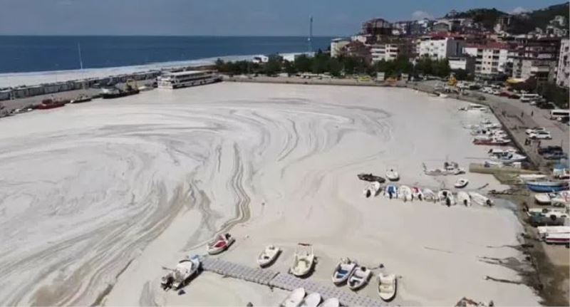 Marmara Denizi Acil Eylem Planı Açıklanacak