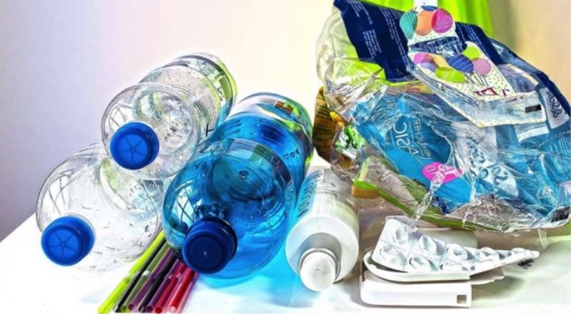Plastik Atıkları Parçalayabilecek Solucanlar Keşfedildi